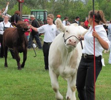 2010FF004