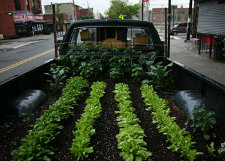 TruckFarm1