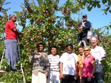 appleworkers