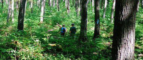 bruce trail sam vance