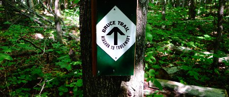 bruce trail sign sam vance