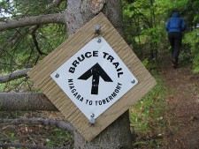 brucetrail