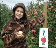 crunching_apple