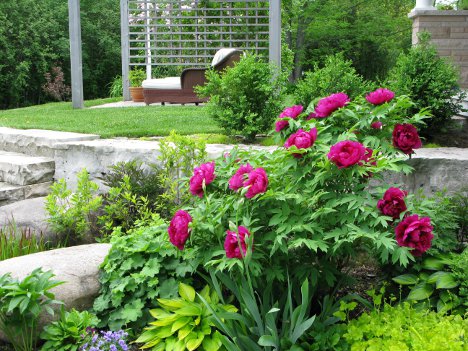 gardenclubbustripadphoto