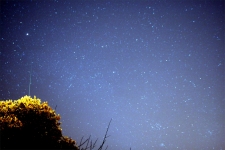 geminid