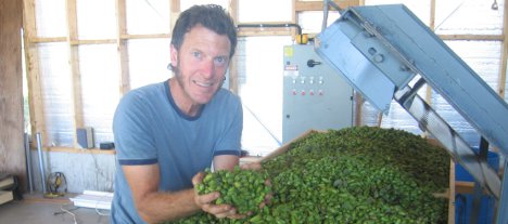 hopharvest2012