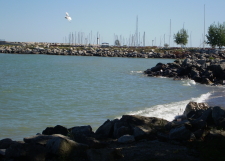 meafordharbour