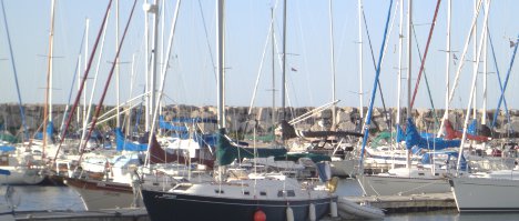 mfd_harbour_468_2_Sam_Vance