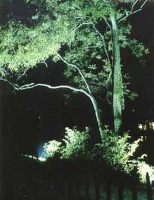 uplight