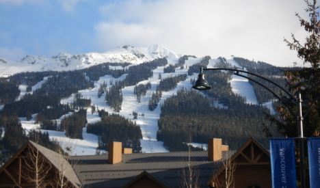 whistler_468