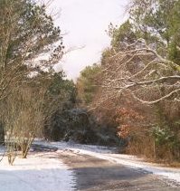winter_driveway