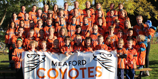 coyotes oct 2016 540